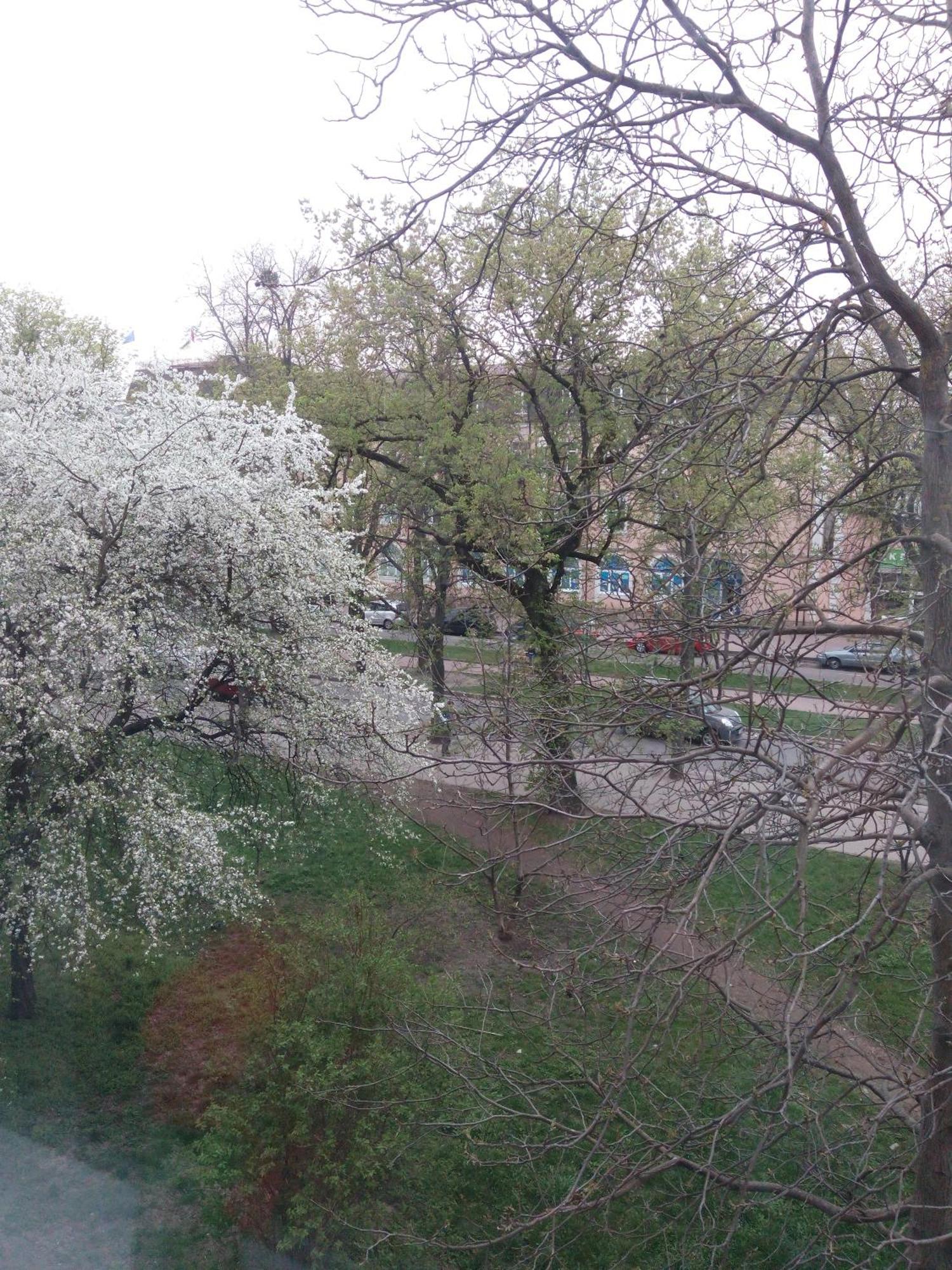 Квартира Студія В Центрі Міста Філармонія คเมลไนป์สกาเย ภายนอก รูปภาพ